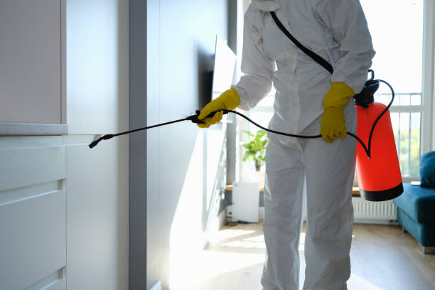 Best Black Mold Removal  in Miramar, FL