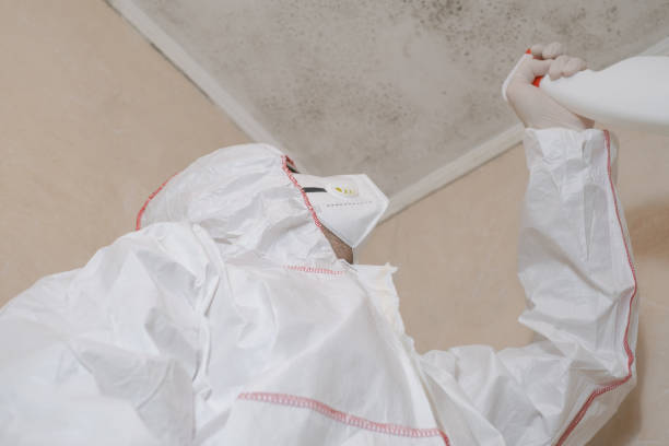 Best Attic Mold Removal  in Miramar, FL