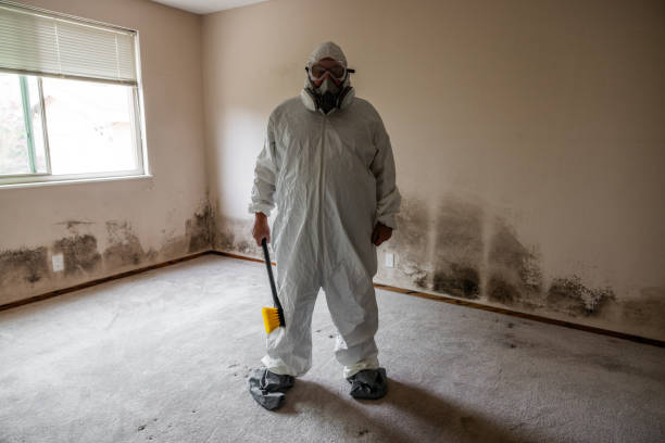 Best Residential Mold Removal  in Miramar, FL